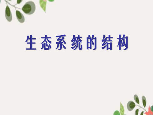 人教版高中生物必修三第5章第1节 生态系统的结构 课件(共46张PPT)