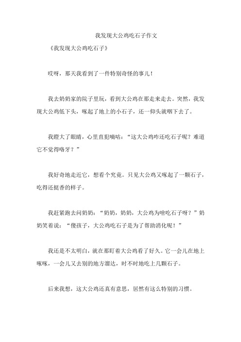 我发现大公鸡吃石子作文