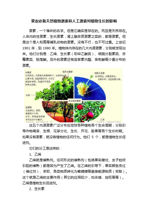 果农必备天然植物激素和人工激素对植物生长的影响