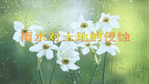 五年级上册科学课件-3.5雨水对土地的侵蚀 教科版(共19张PPT)