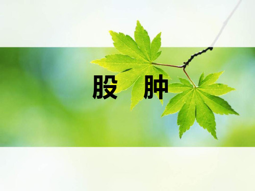 中医外科-第三节 股肿.ppt