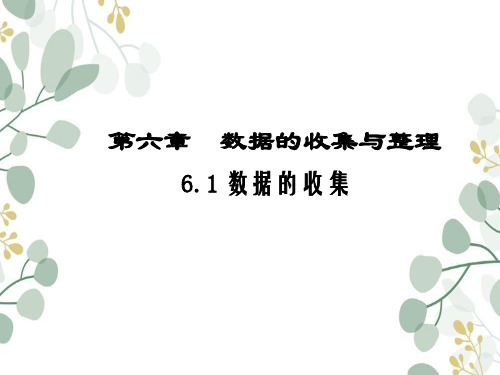 七年级数学北师大版(上册)6.1数据的收集课件