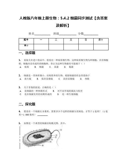 人教版八年级上册生物：5.4.2细菌同步测试【含答案及解析】