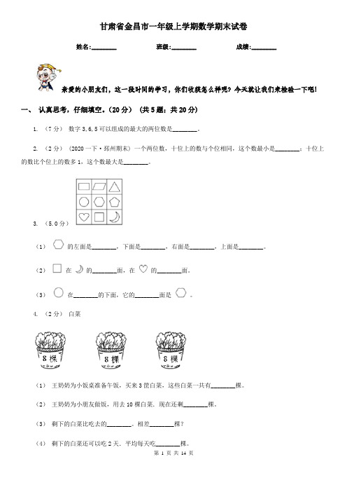 甘肃省金昌市一年级 上学期数学期末试卷