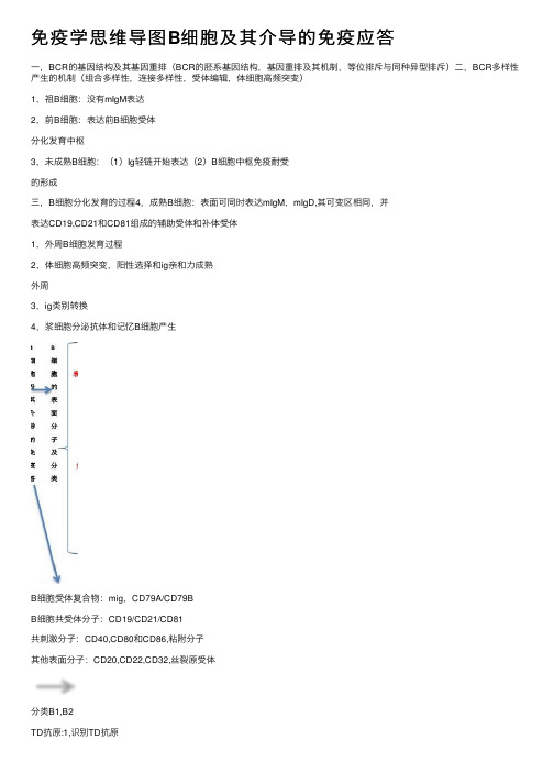 免疫学思维导图B细胞及其介导的免疫应答