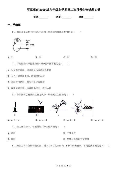 石家庄市2019版八年级上学期第二次月考生物试题C卷