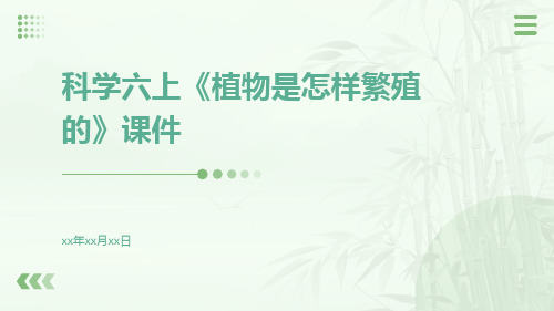 科学六上《植物是怎样繁殖的》课件