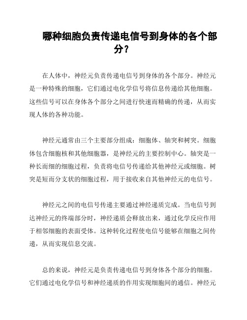 哪种细胞负责传递电信号到身体的各个部分？