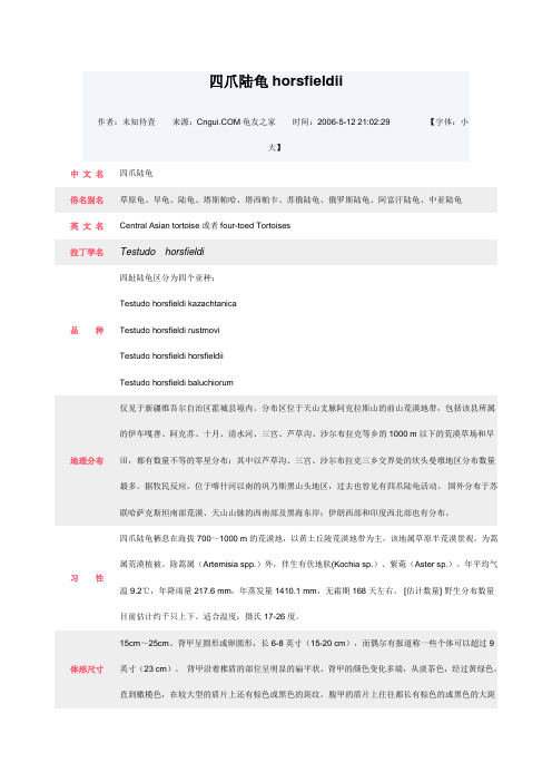 四爪陆龟的饲养