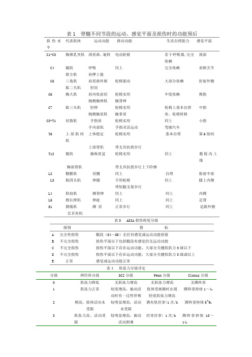 脊髓损伤的评定量表