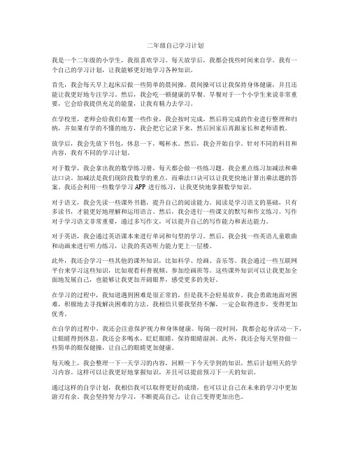 二年级自己学习计划