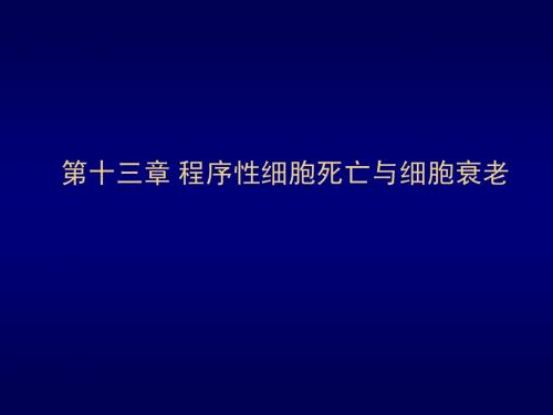 程序性细胞死亡与细胞衰老