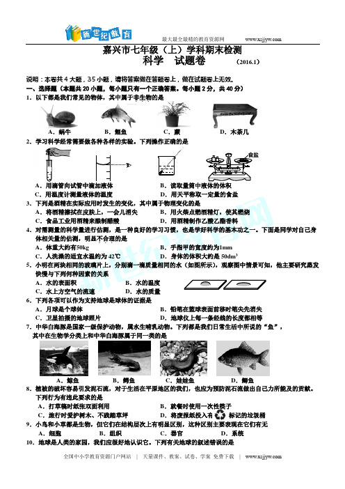 2015学年第一学期七年级期末卷