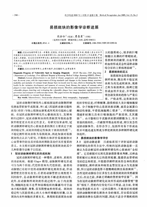 易损斑块的影像学诊断进展