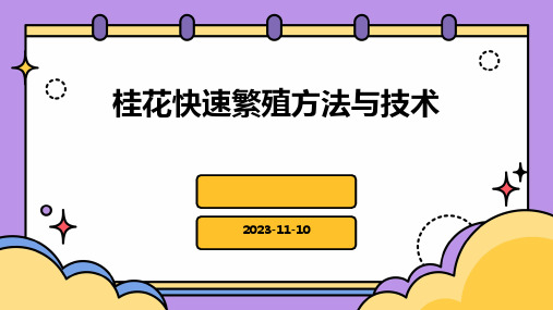 桂花快速繁殖方法与技术