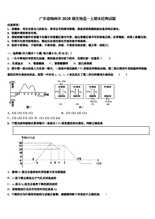 广东省梅州市2025届生物高一上期末经典试题含解析