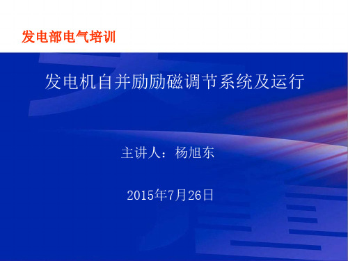 发电机自并励励磁调节系统及运行解剖