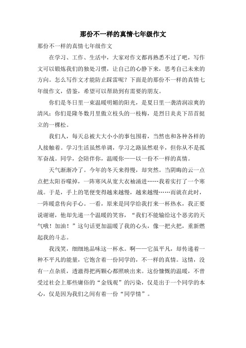 那份不一样的真情七年级作文