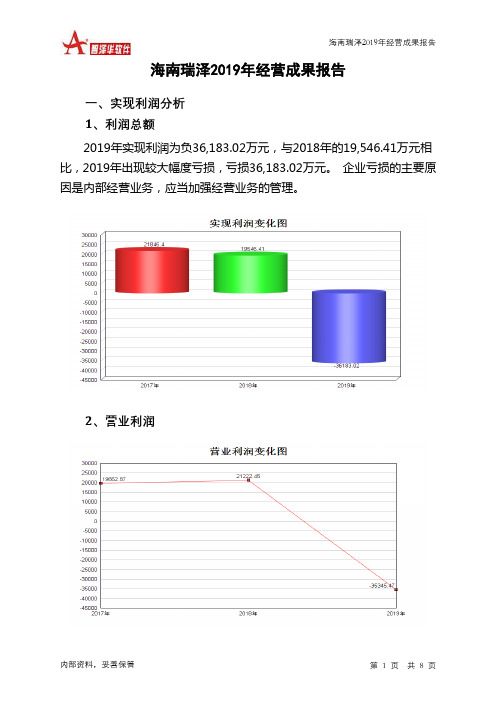 海南瑞泽2019年经营成果报告