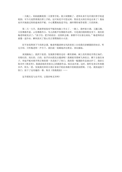 与众不同的一堂课难忘的课堂作文500字