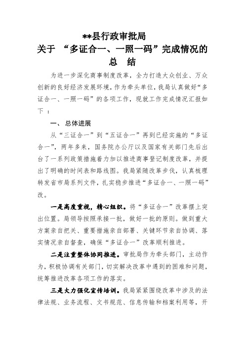 关于 “多证合一、一照一码”完成情况的总结