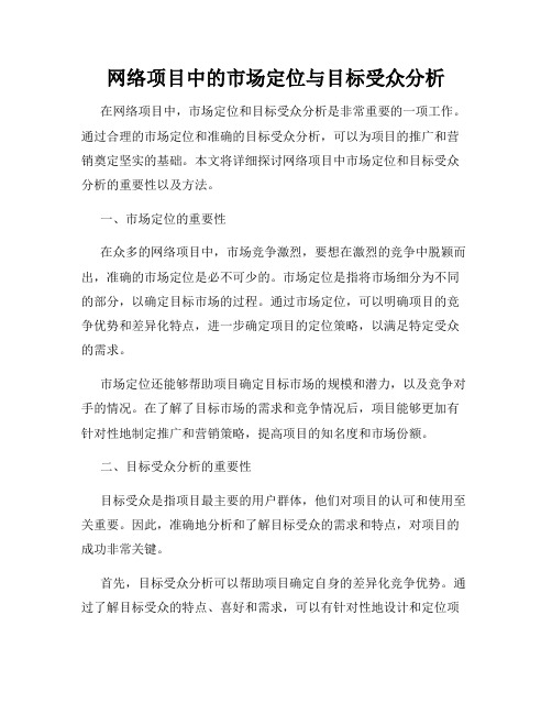 网络项目中的市场定位与目标受众分析