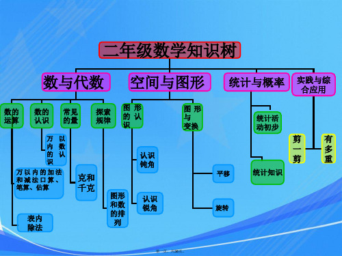 二年级数学下全册知识树