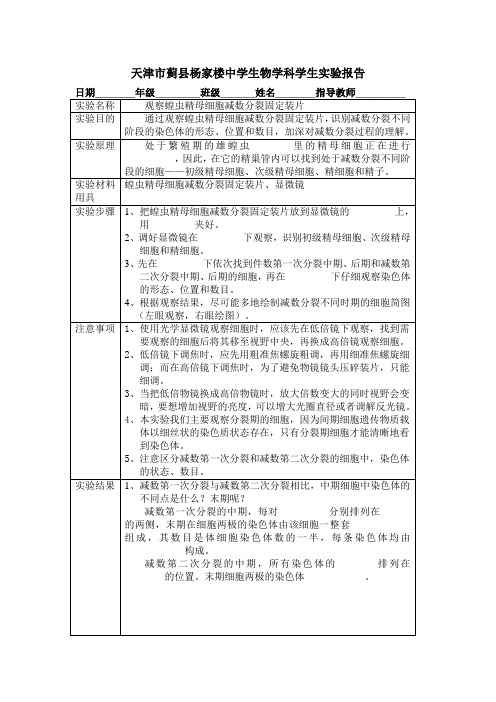 蝗虫报告