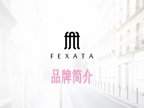 FEXATA+品牌简介