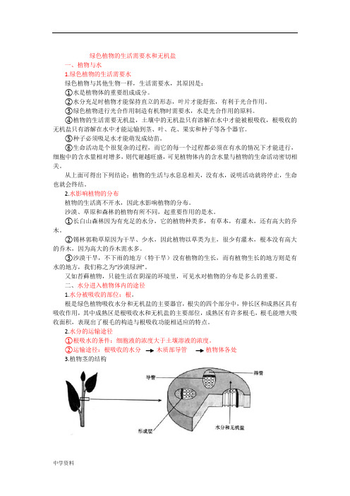 人教版九年级生物中考复习绿色植物的生活需要水和无机盐知识点总结.含答案