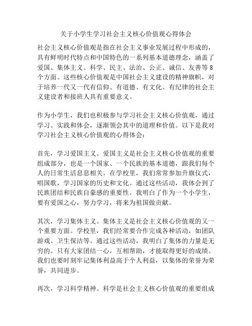 关于小学生学习社会主义核心价值观心得体会