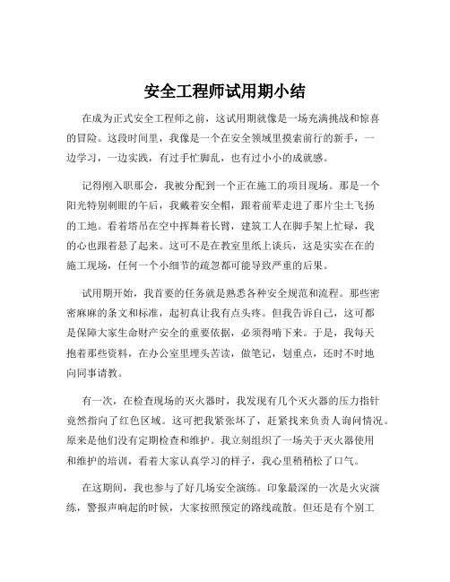 安全工程师试用期小结