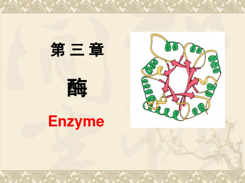 酶