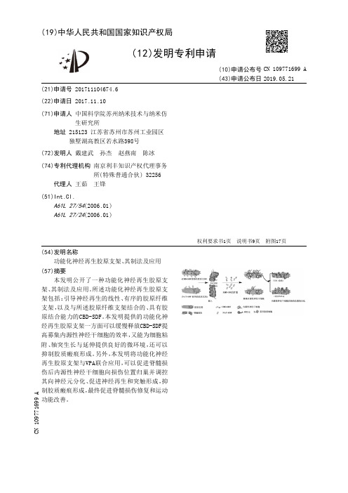 功能化神经再生胶原支架、其制法及应用[发明专利]