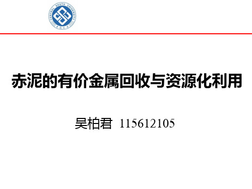 吴柏君--赤泥的有价金属回收与资源化利用