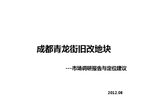 成都商业市场调研报告及定位建议 ppt课件