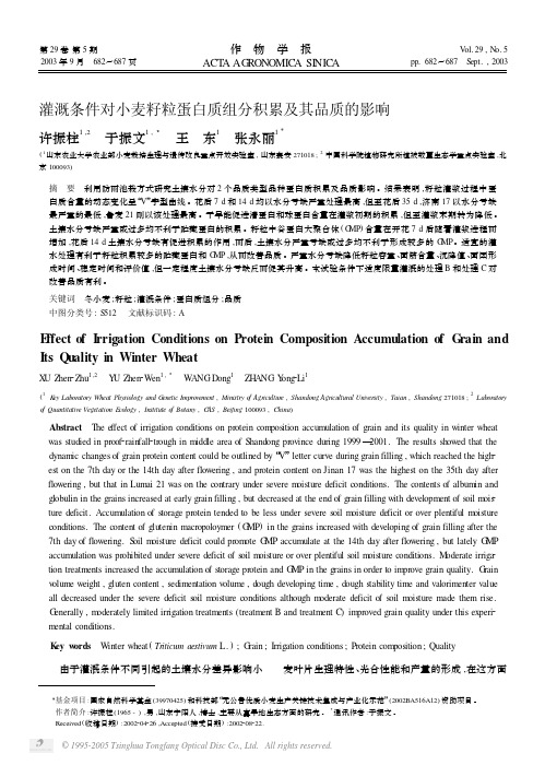 灌溉条件对小麦籽粒蛋白质组分积累及其品质的影响