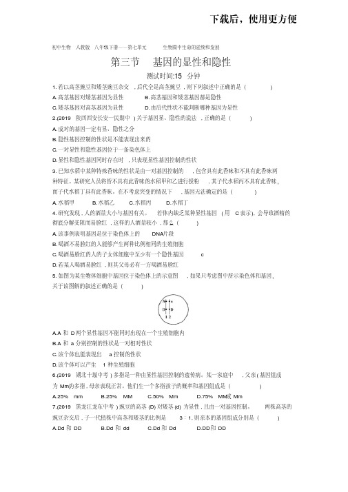 07-初中生物人教版八年级下册第七单元第二章第三节基因的显性和隐性