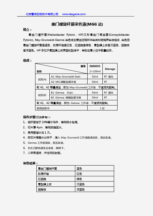 幽门螺旋杆菌染色液(MGG法)