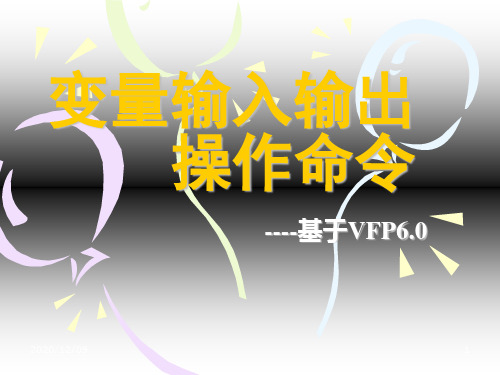 vfp_变量操作命令PPT教学课件