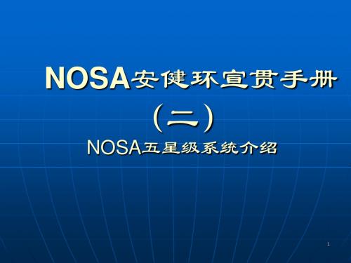 NOSA_安健环宣传手册二