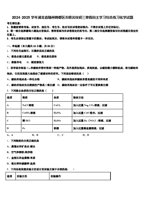 2024-2025学年湖北省随州曾都区市级名校初三寒假自主学习综合练习化学试题含解析