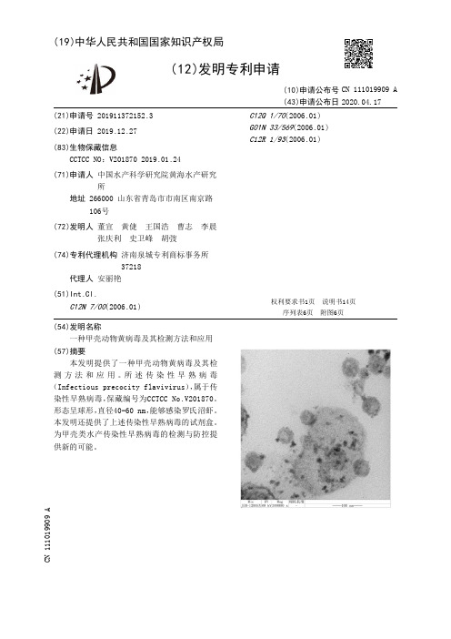 一种甲壳动物黄病毒及其检测方法和应用[发明专利]