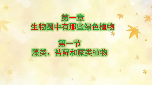 第一节藻类、苔藓和蕨类植物课件人教版生物七年级上册
