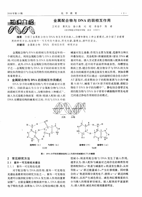 金属配合物与DNA的弱相互作用