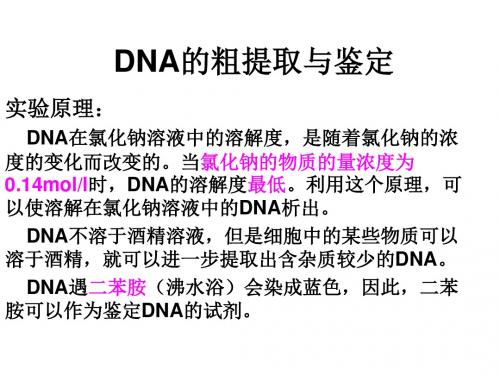 高二生物dna的粗提取与鉴定(教学课件2019)