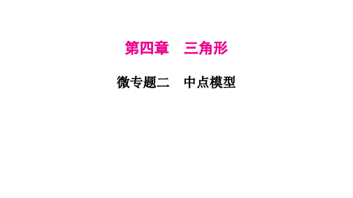 2023年中考数学微专题复习课件2 中点模型