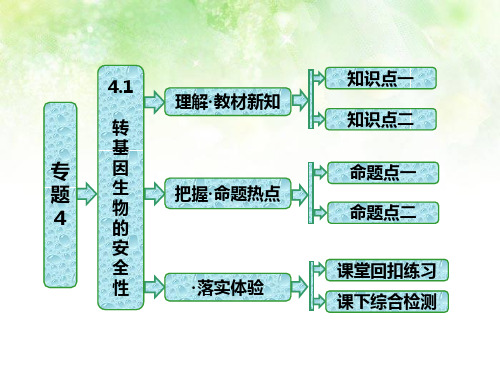 人教版高中生物选修3课件：专题四生物技术的安全性和伦理问题(选修三)