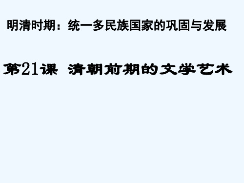 人教版七年级历史下册课件-第二十一课-清朝前期的文学艺术 PPT