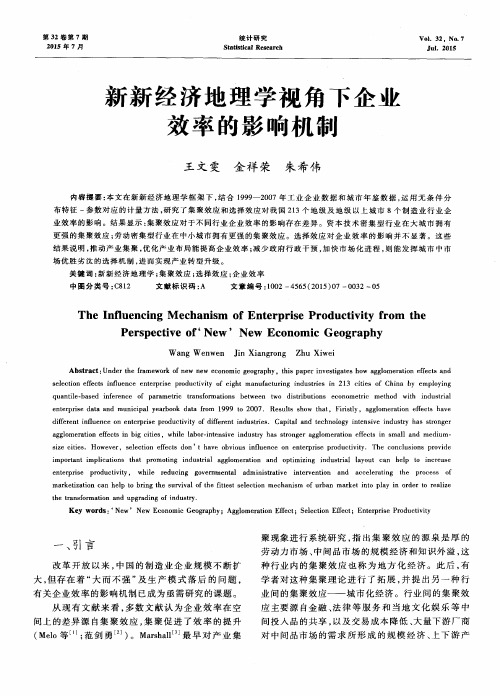 新新经济地理学视角下企业效率的影响机制